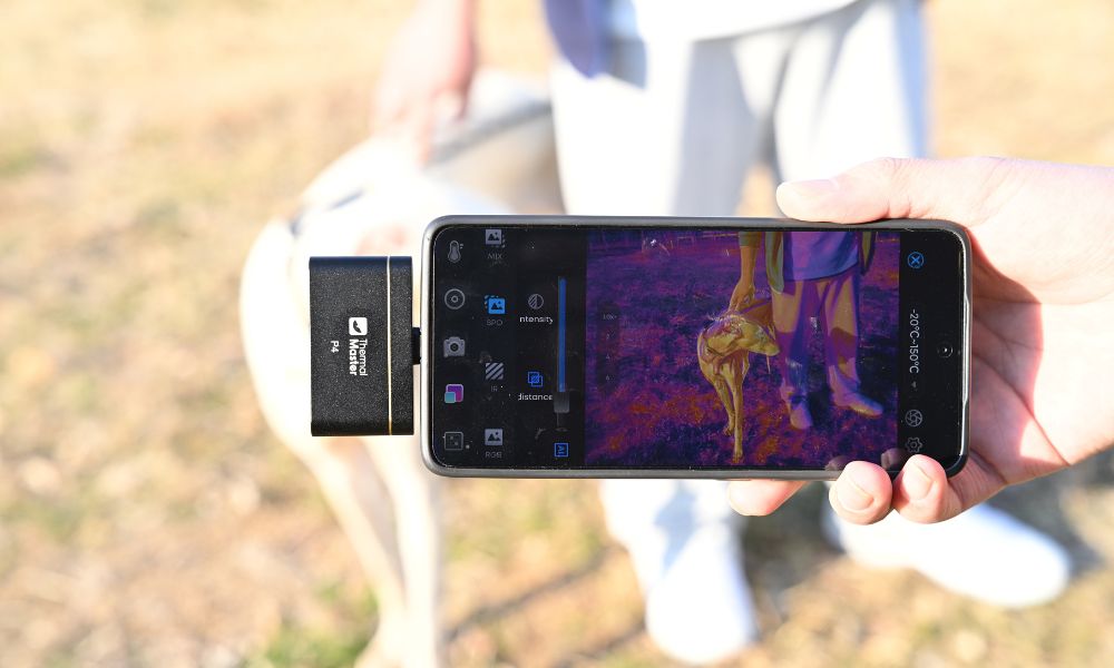 Using a mobile phone thermal imager to detect dogs