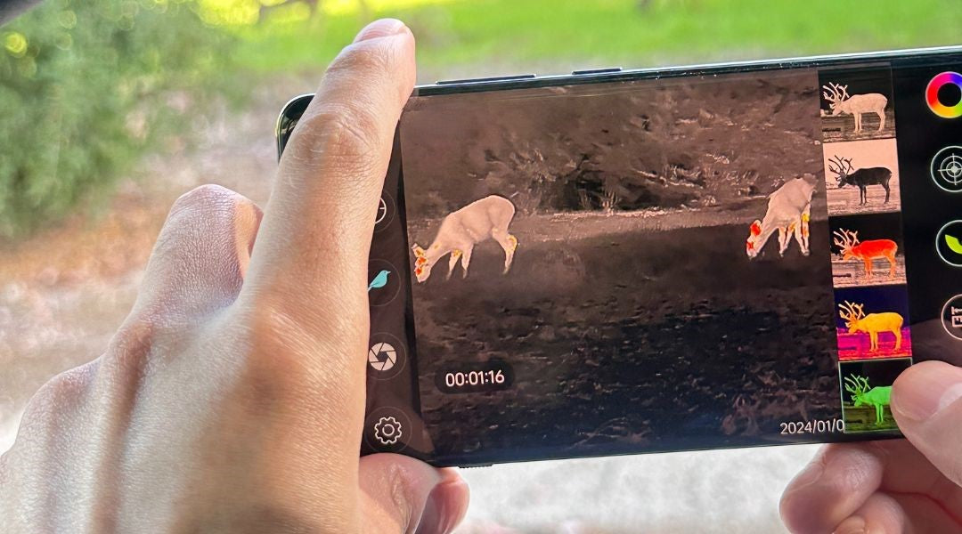 The Secret Weapon: How Thermal Imaging Enhances Animal Tracking