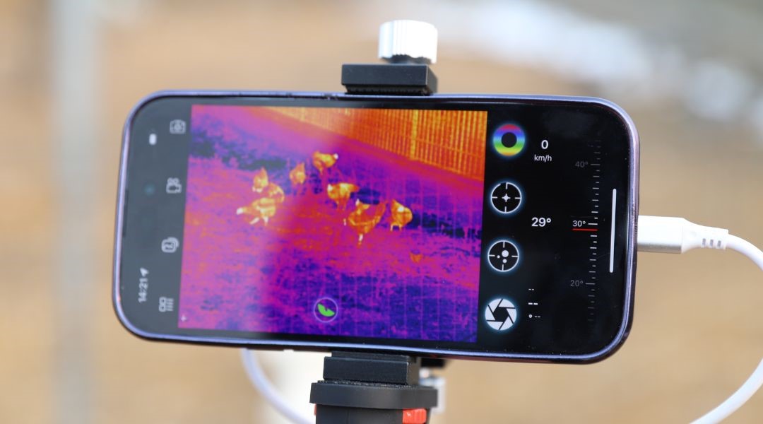 Smartphone birdwatching binoculars