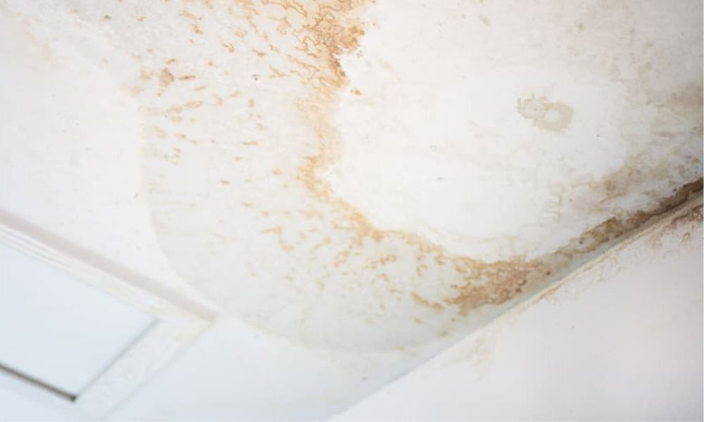 House leak