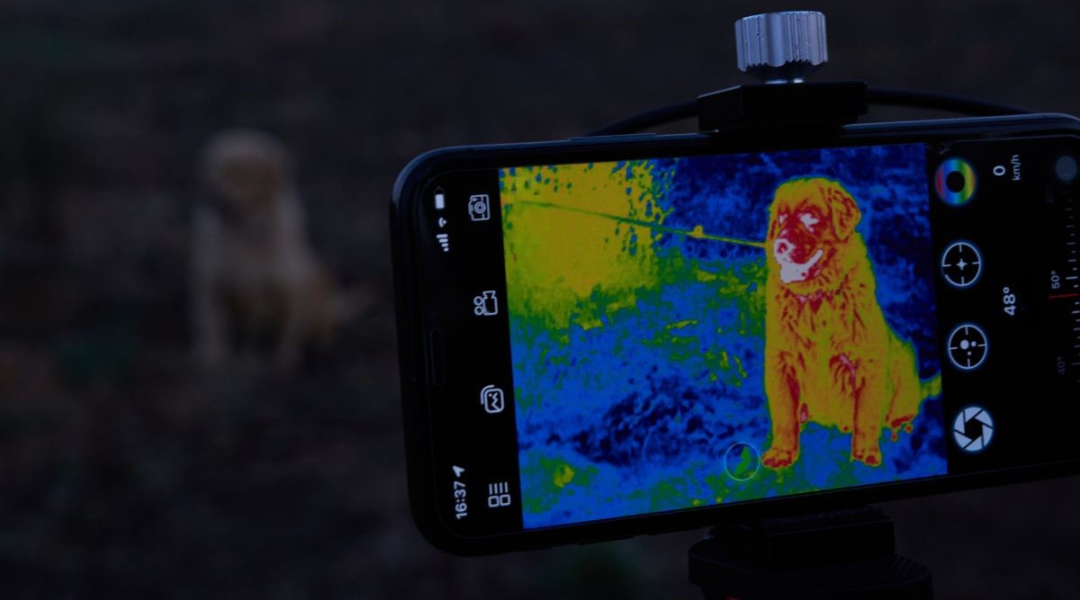 Birdwatching binoculars for observing dogs
