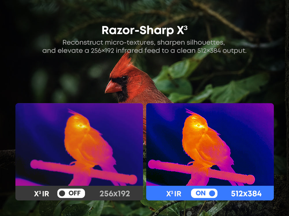 512x384 Razor Sharp X³