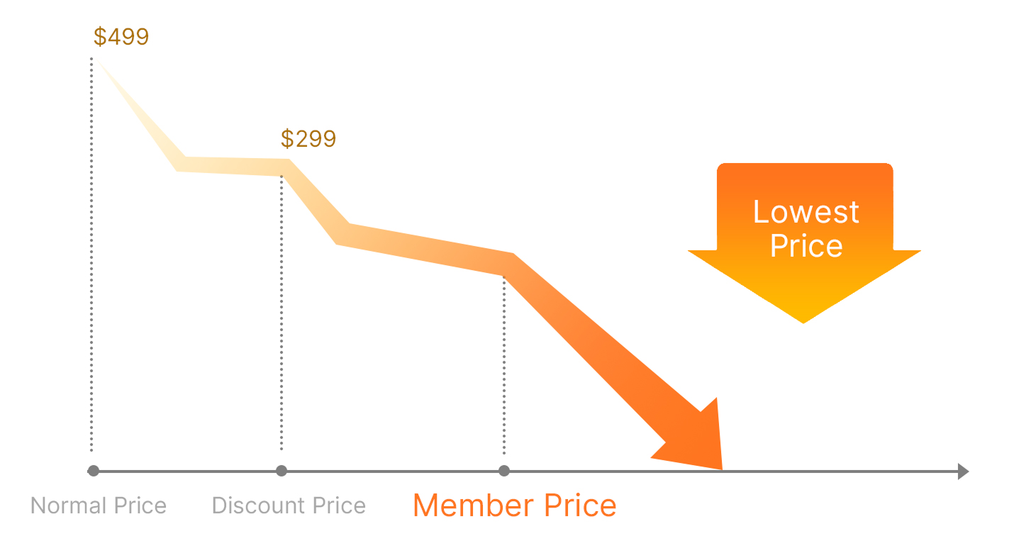 P4, AI Dual-Lens Thermal Camera pricing chart